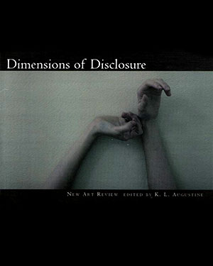 Dimensions of Disclosure Book
